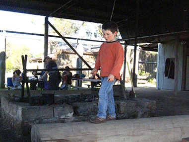 walking a log